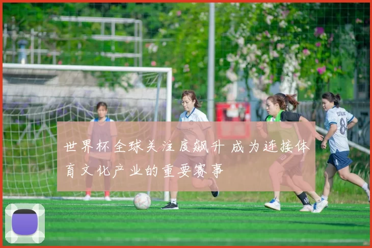 世界杯全球关注度飙升 成为连接体育文化产业的重要赛事