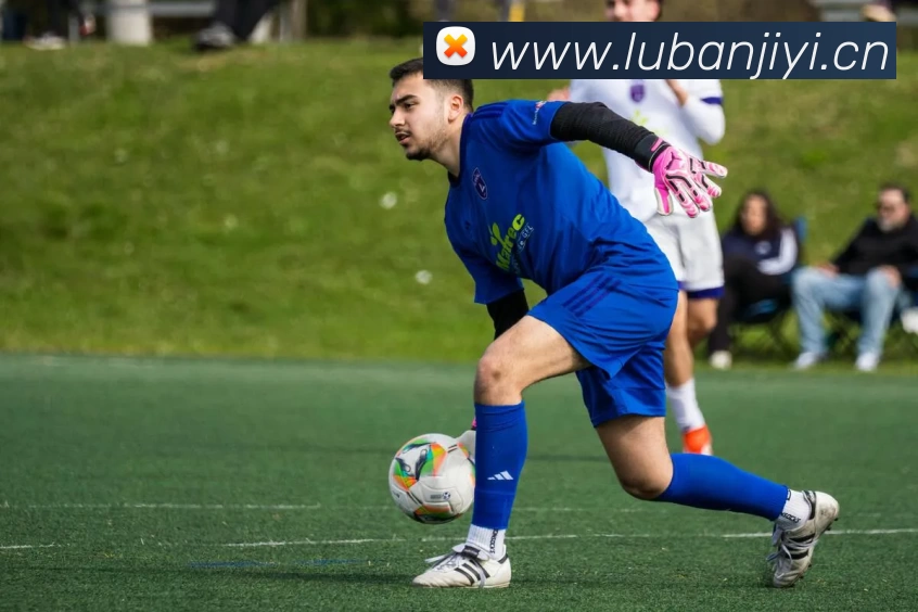 九游会·(j9)官方网站平台生态图